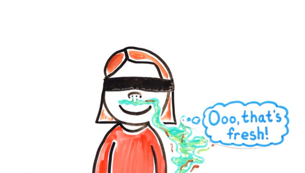 Why Do We Like the Smell of Our Own Farts? Science Rach