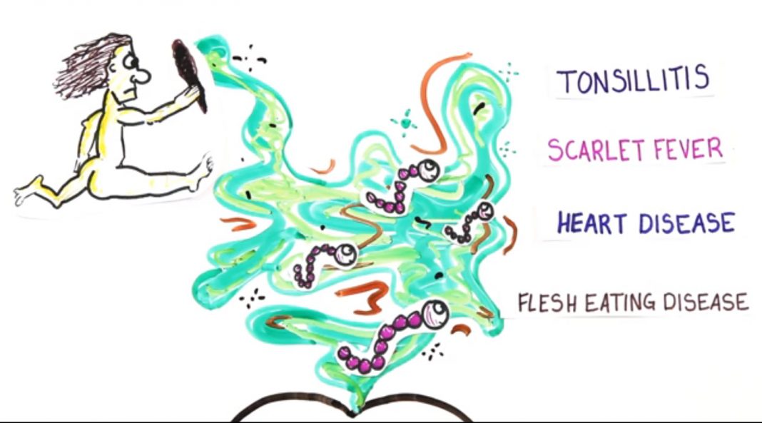 Why Do We Like the Smell of Our Own Farts? Science Rach