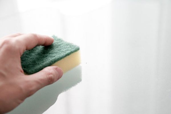 kitchen sponge