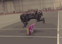 Successful Experiment: Cheetah-inspired Robot Jumps on in Its Own!