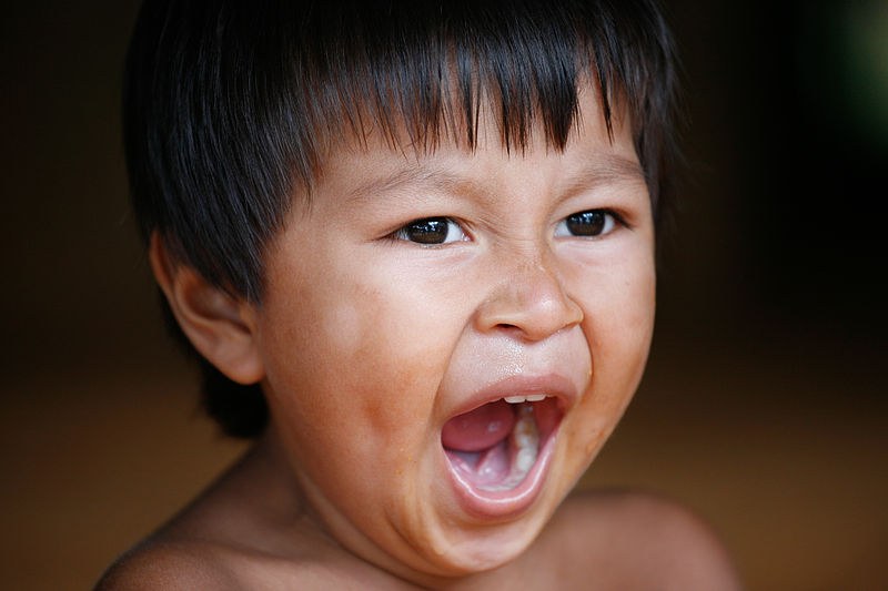 By Alex Proimos from Sydney, Australia (The Yawn - Embera VillageUploaded by russavia) [CC BY 2.0], via Wikimedia Commons