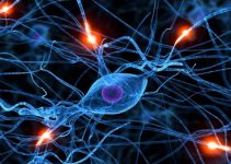 Scientists Create Synthetic Neurons that Can Possibly Fix Neurological Disorders