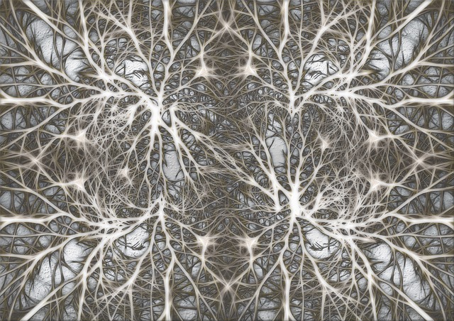 neurons