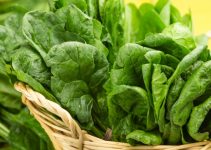 New Study: Eating Spinach Could Lower Your Risk of Getting Colon Cancer