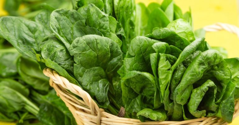 spinach reduces risk for colon cancer