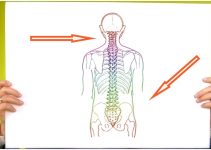 ‘Dancing Molecules’ Successfully Repair Severe Injuries in Spinal Cord, Reverse Paralysis