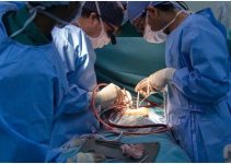 Scientific Milestone: First Successful Transplant of Pig Heart to a Living Human