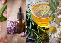 4 Best Herbs That Promote A Youthful Skin And Healthy Body
